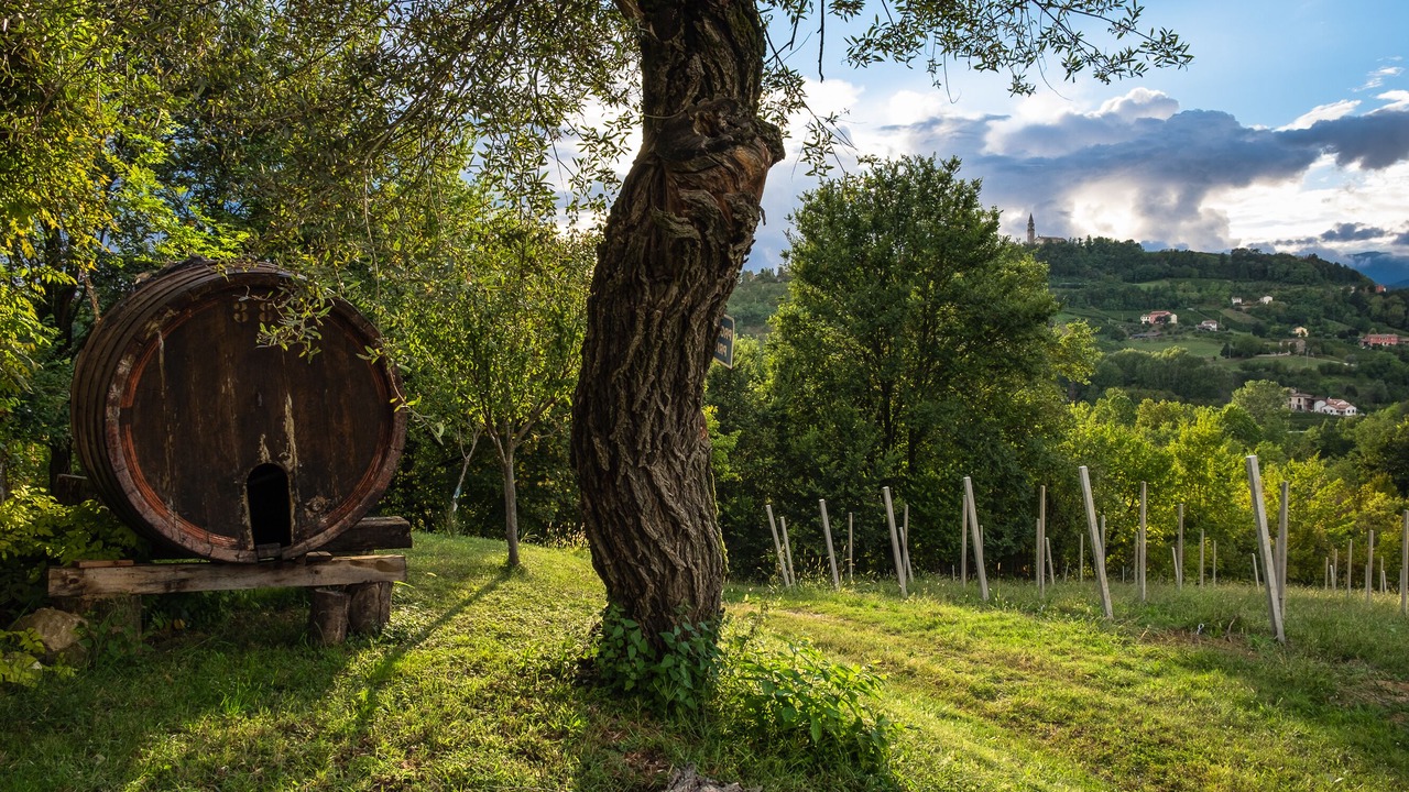 Photo of Outdoor in Conegliano