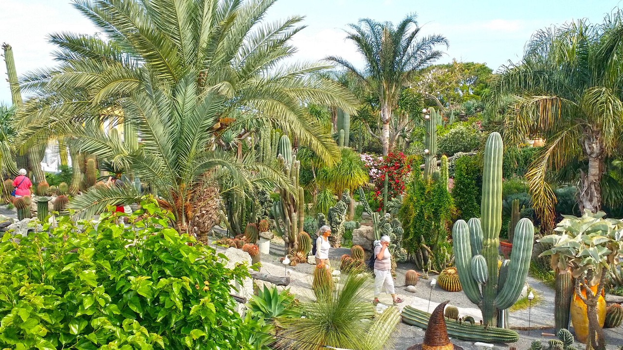 Photo of Outdoor in Forio