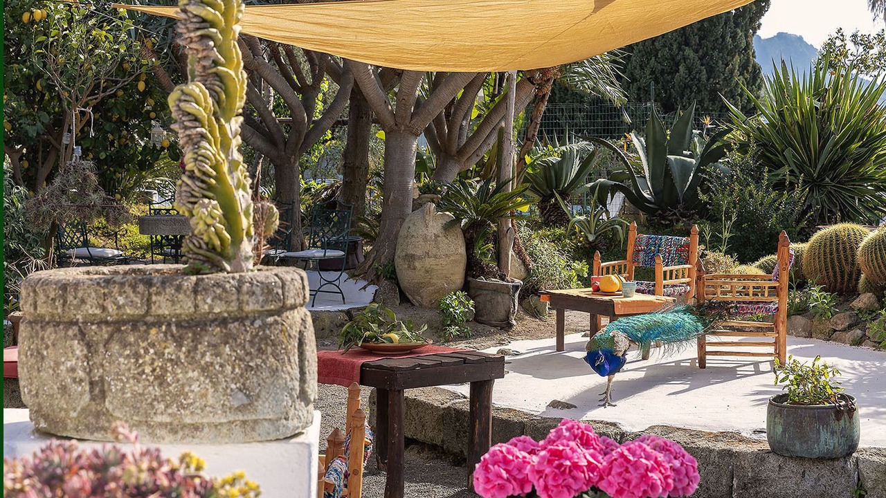 Photo of Outdoor in Forio