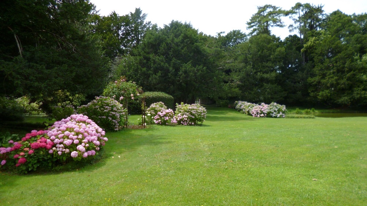 Photo of Outdoor in Dolo