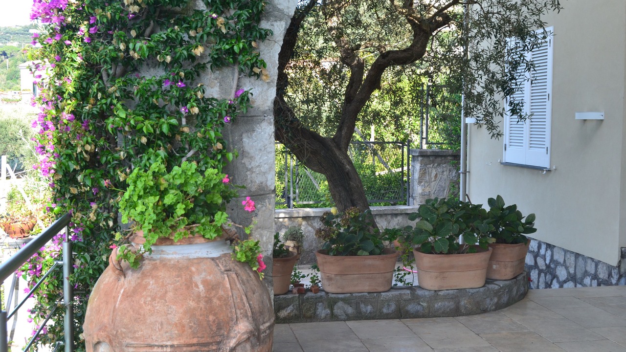 Photo of Outdoor in Schiazzano