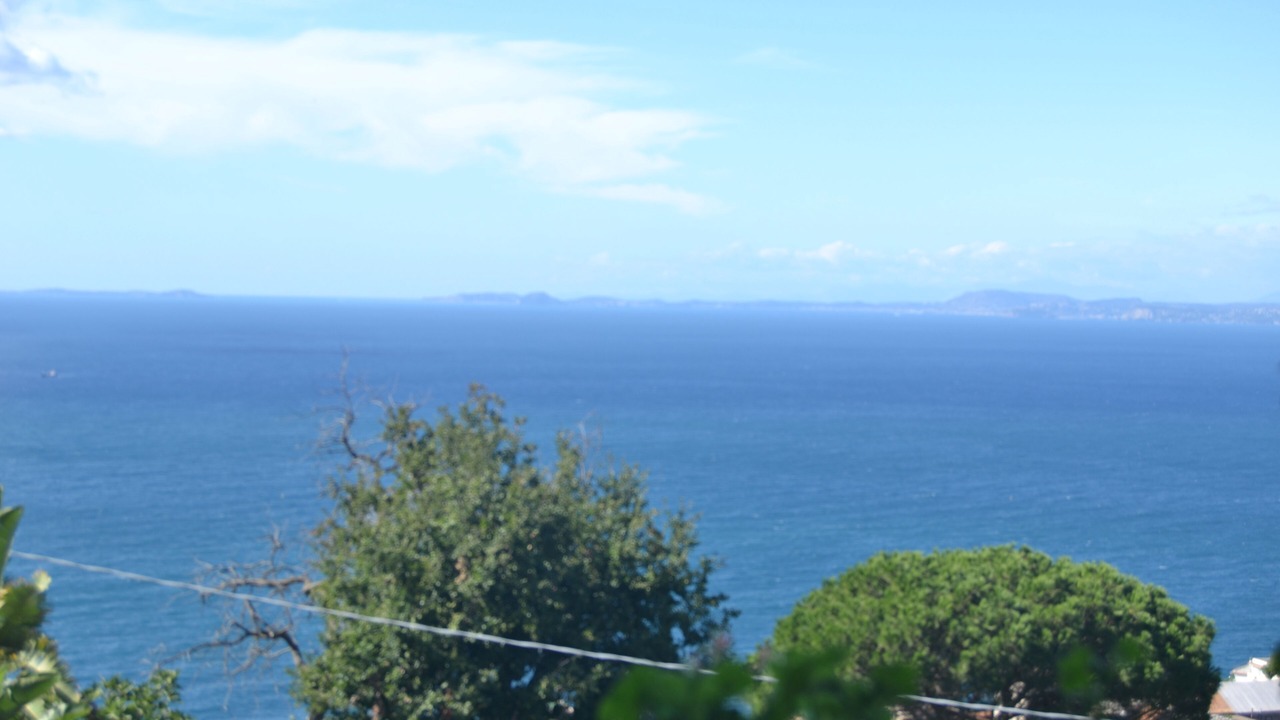 Photo of Others in Schiazzano