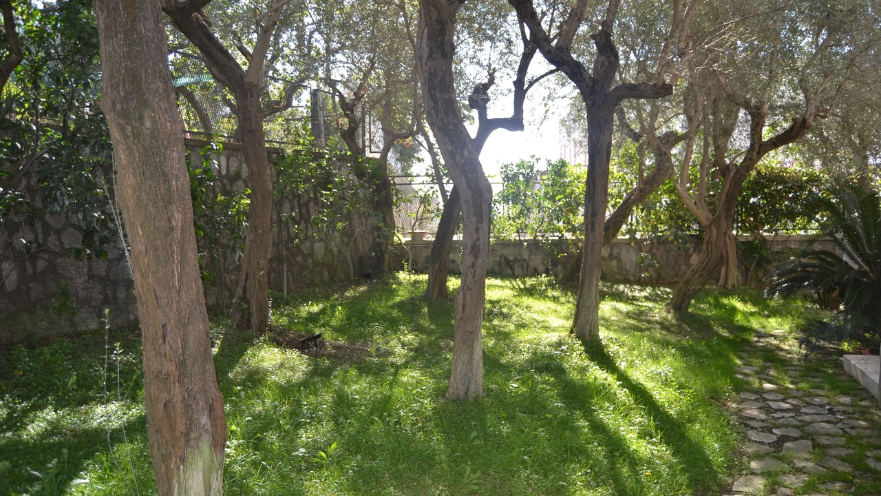 Photo of Outdoor in Schiazzano