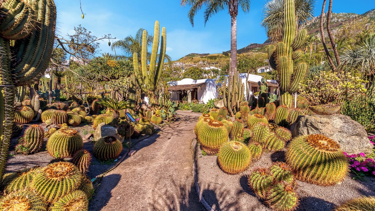 Photo of Outdoor in Forio