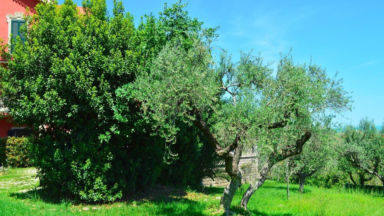 Photo of Outdoor in Silvi