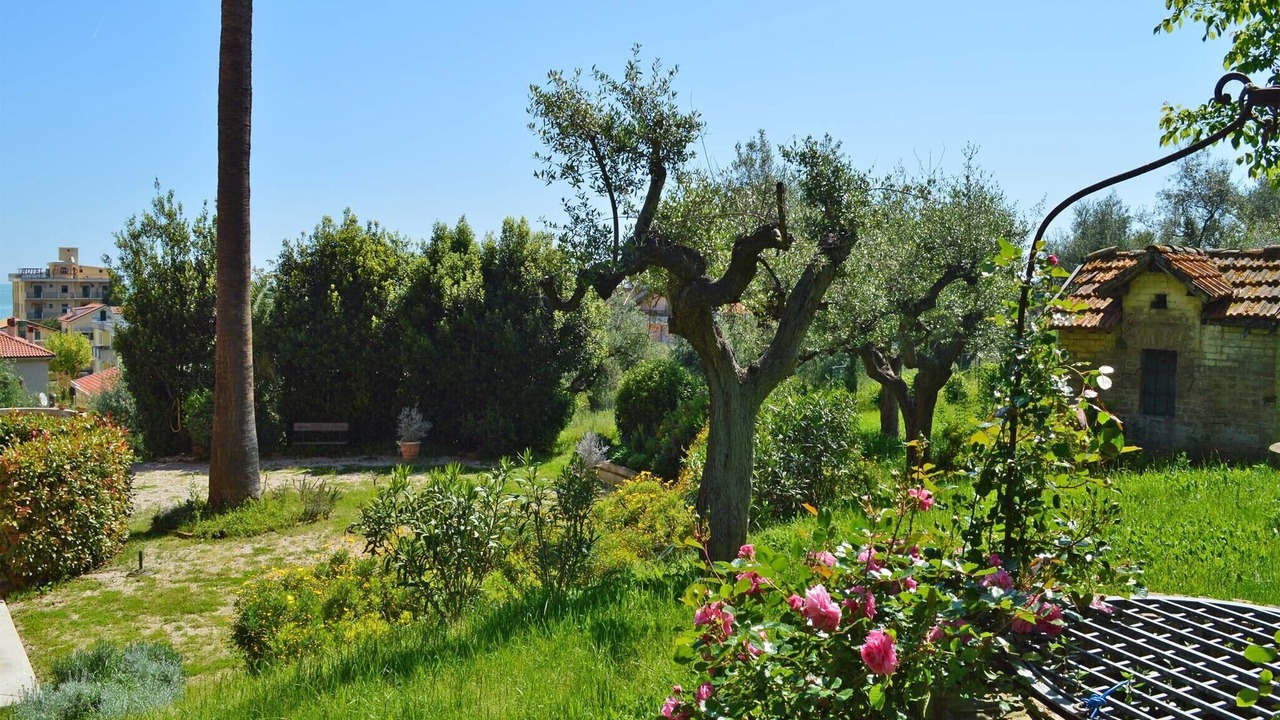 Photo of Outdoor in Silvi