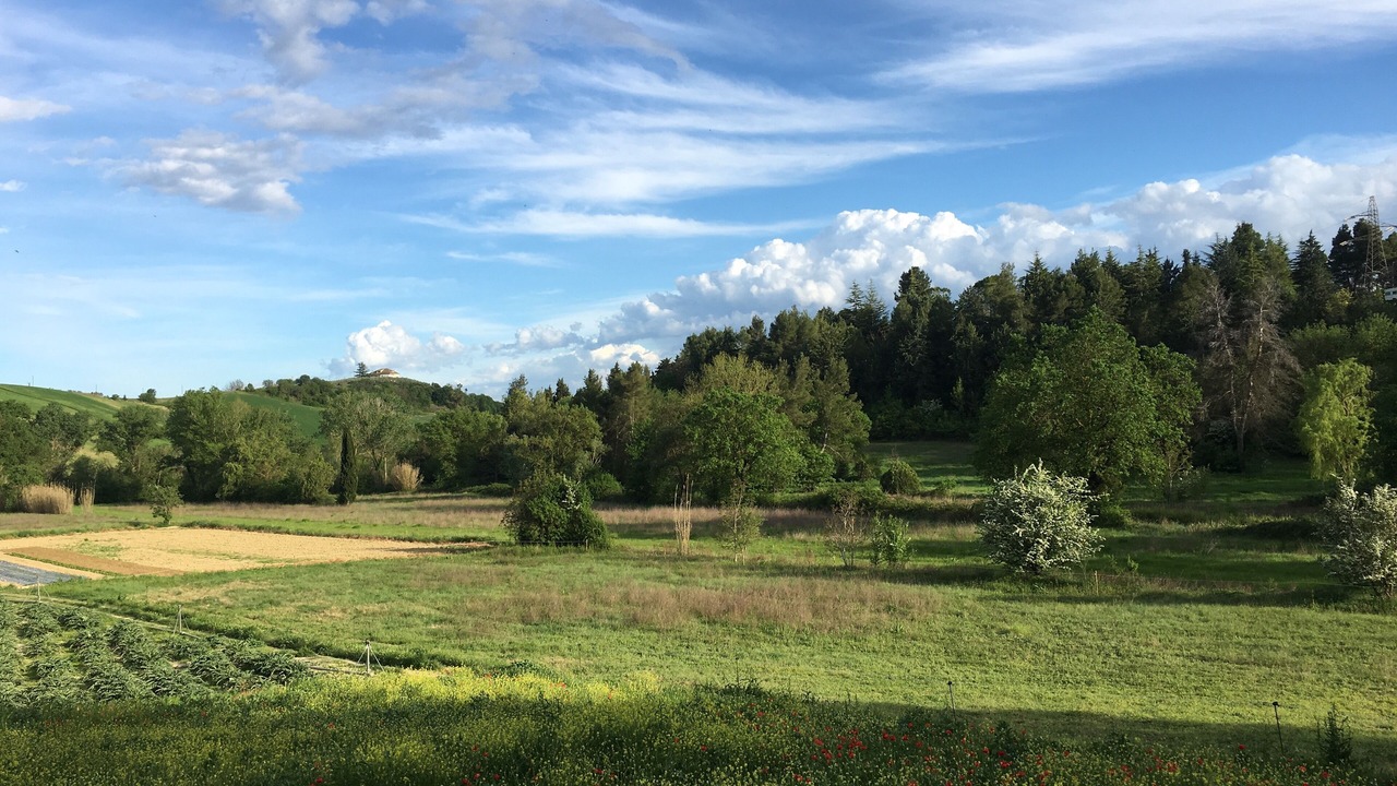 Photo of Others in Spoltore