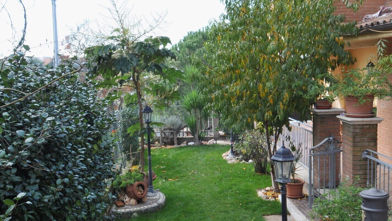 Photo of Outdoor in Cassia
