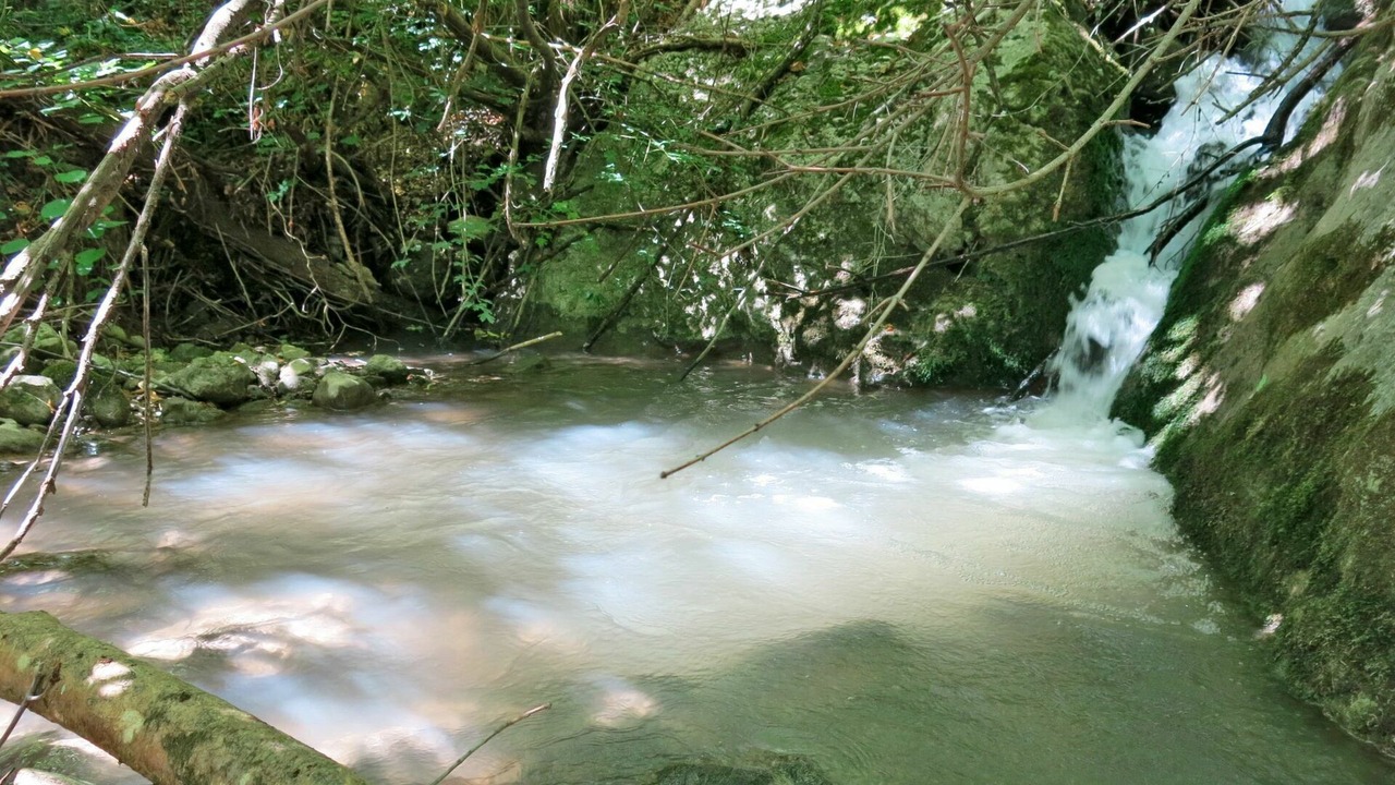 Photo of Others in Arsita