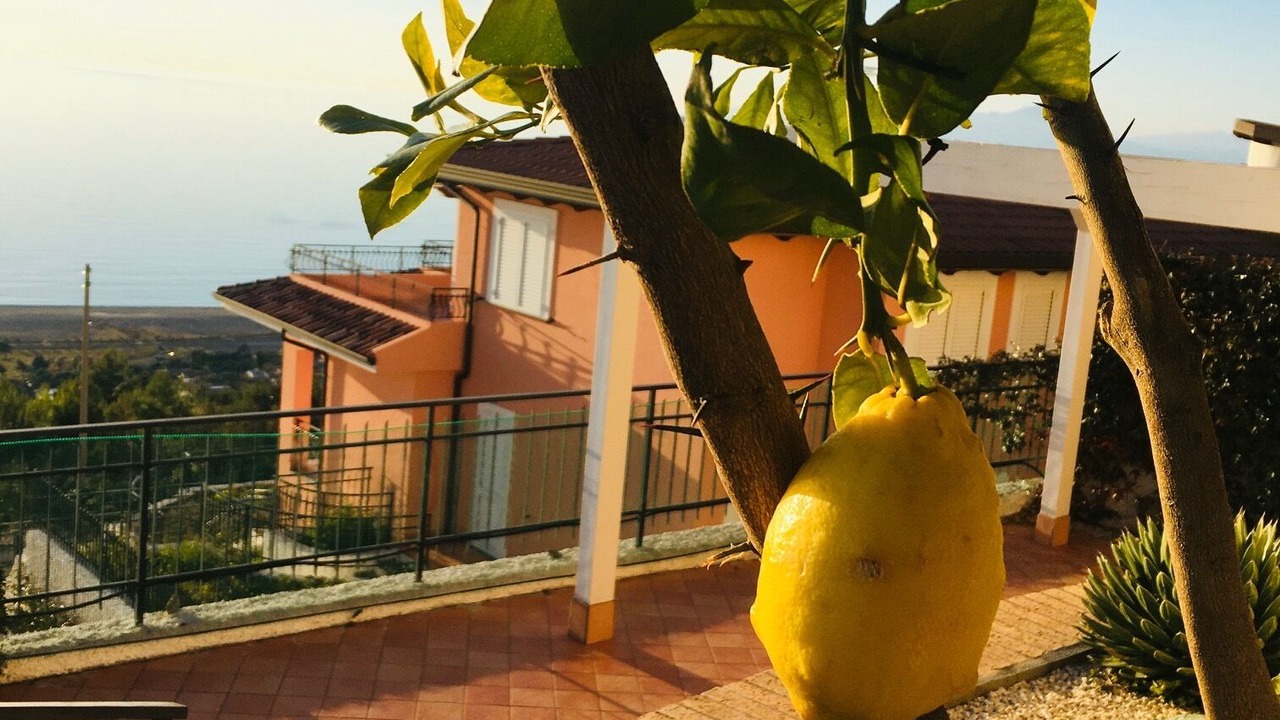 Photo of Outdoor in Praia a Mare