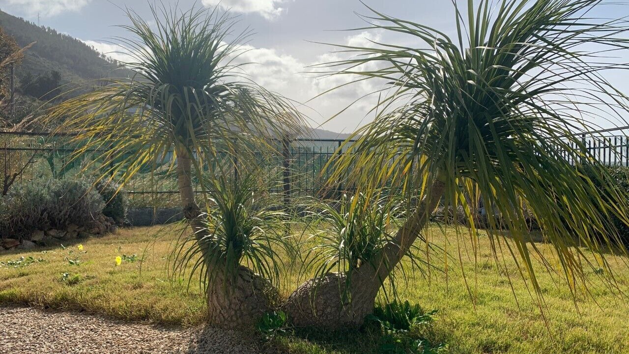 Photo of Outdoor in Praia a Mare