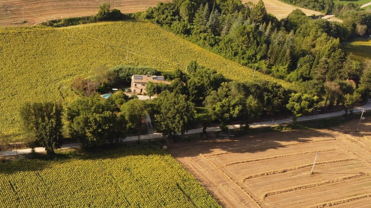 Photo of Outdoor in Acquesalate