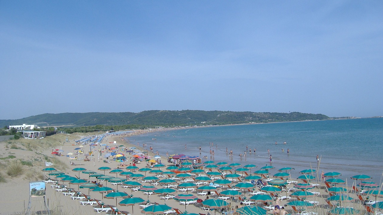 Photo of Others in Montincello