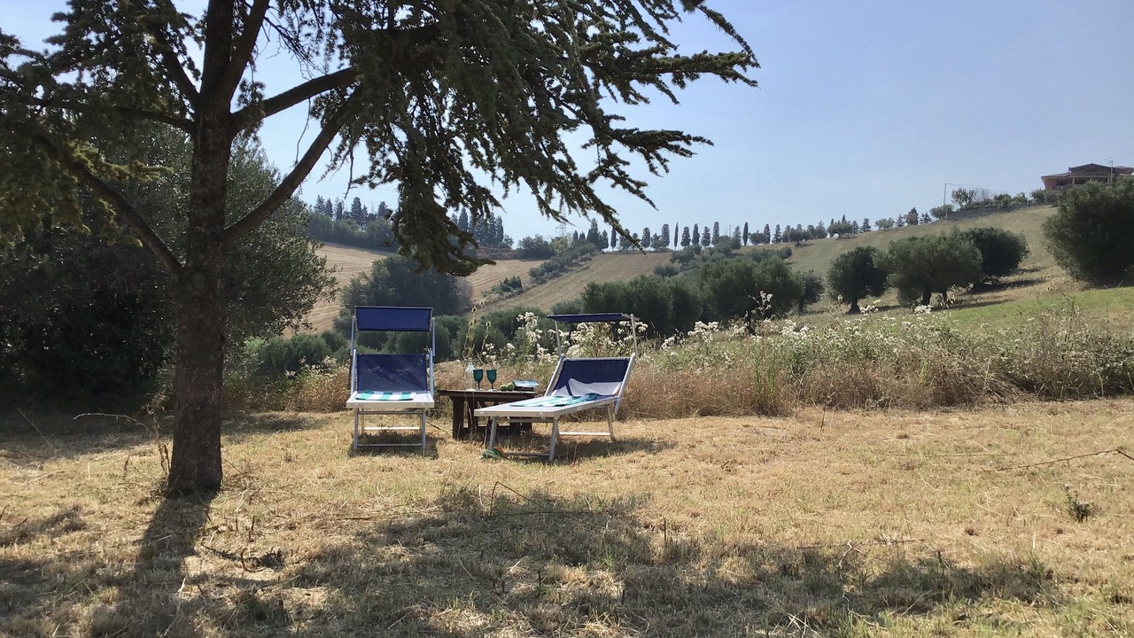Photo of Others in Cologna Spiaggia
