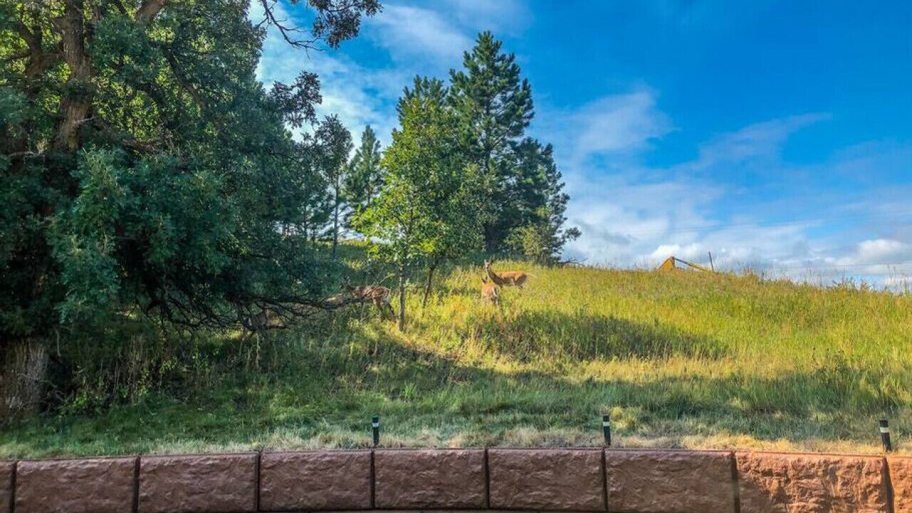 Photo of Others in Spearfish