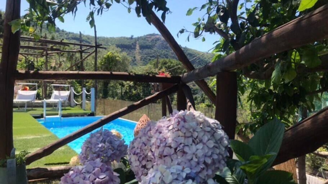 Photo of Others in Sant'Agnello