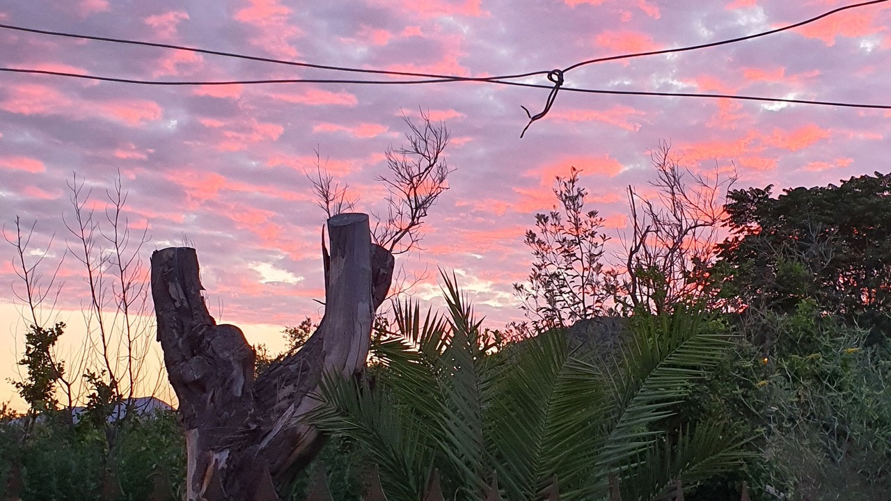 Photo of Outdoor in Schiazzano
