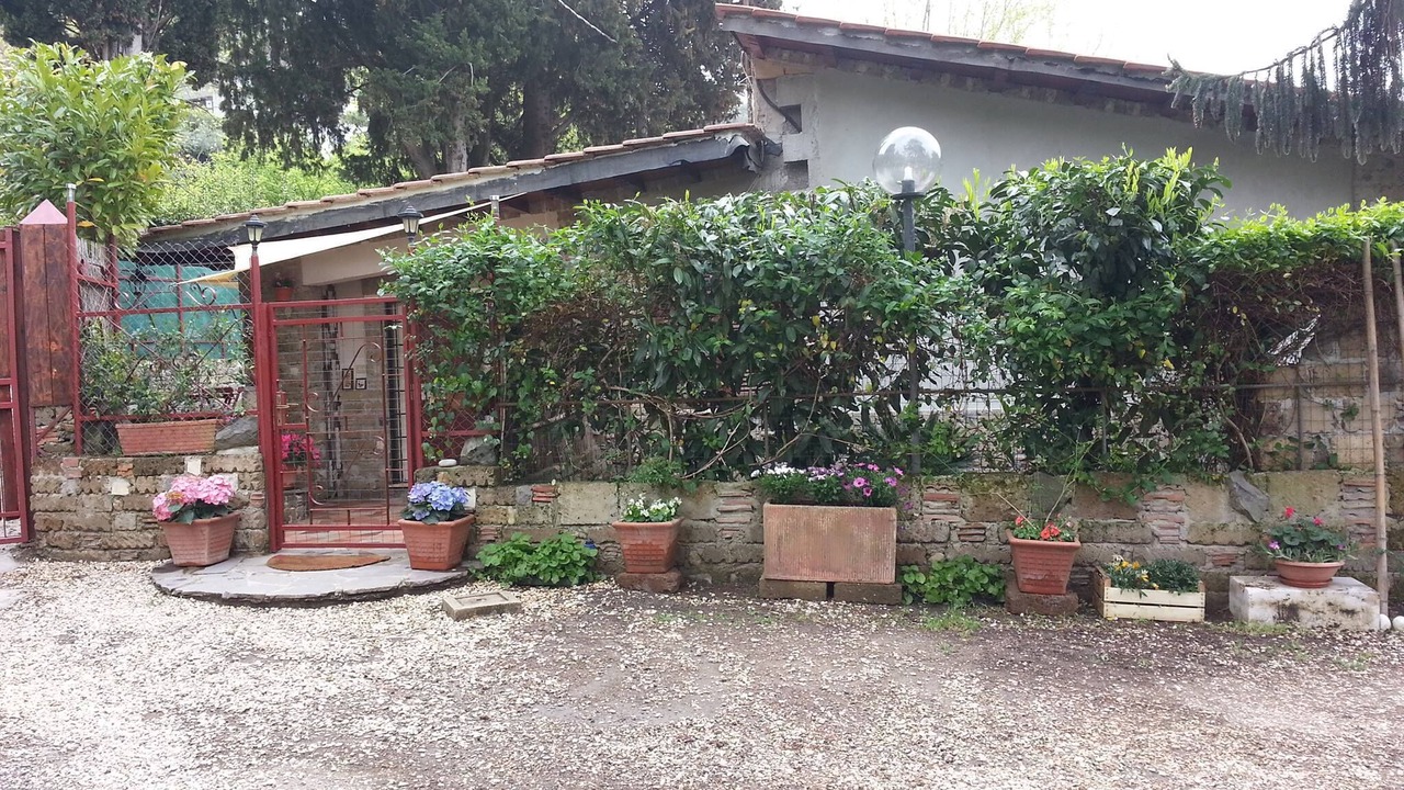 Photo of Outdoor in Lake Bracciano