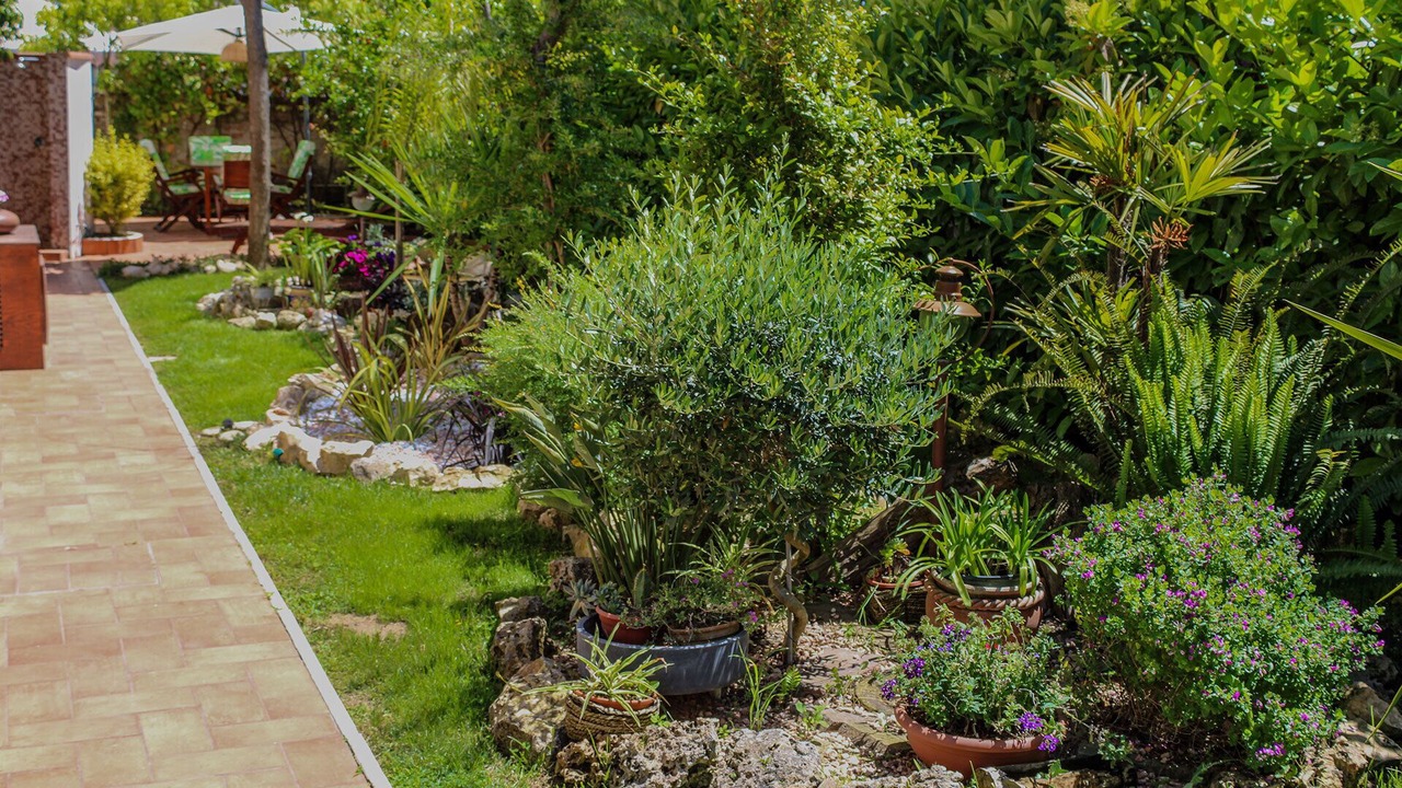 Photo of Outdoor in Latina Lido