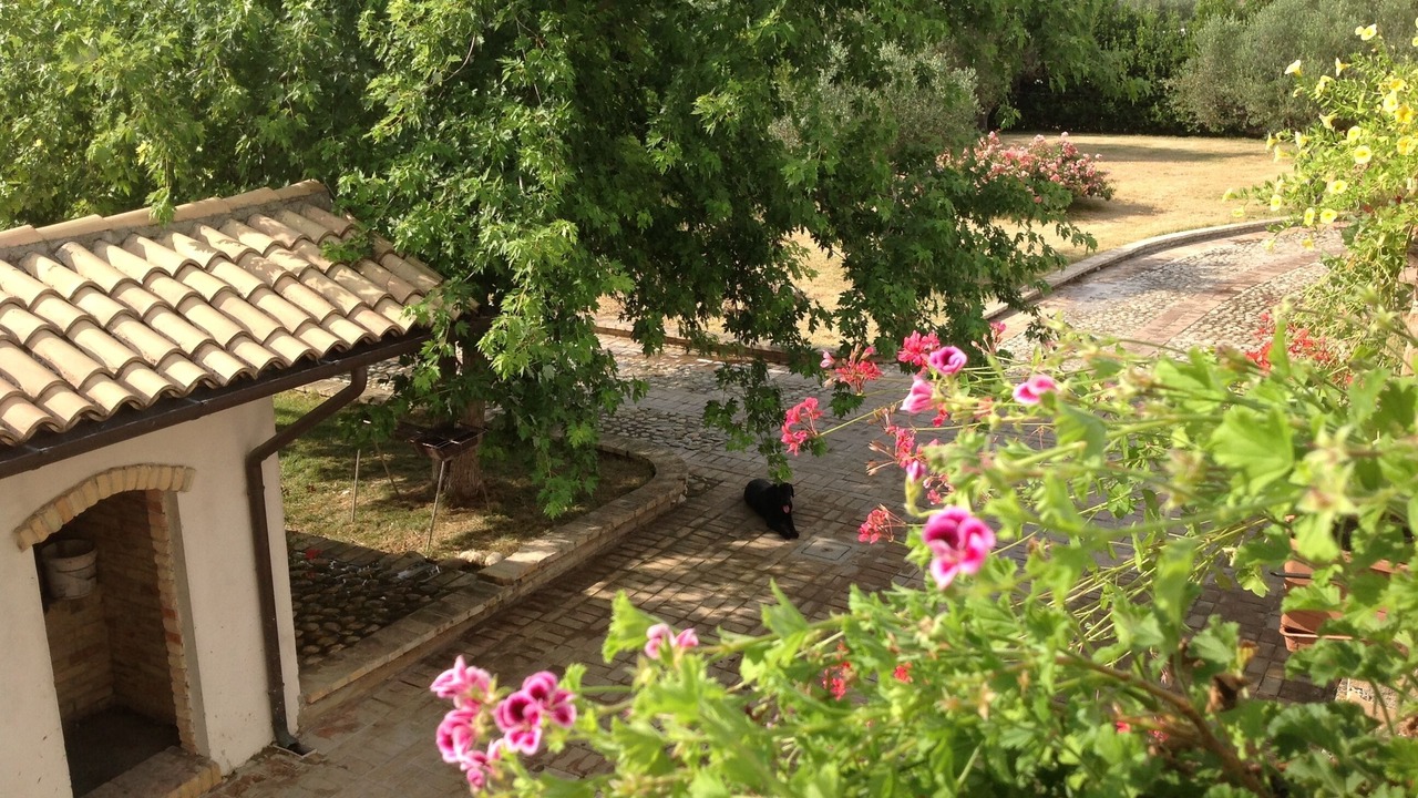 Photo of Outdoor in Cepagatti
