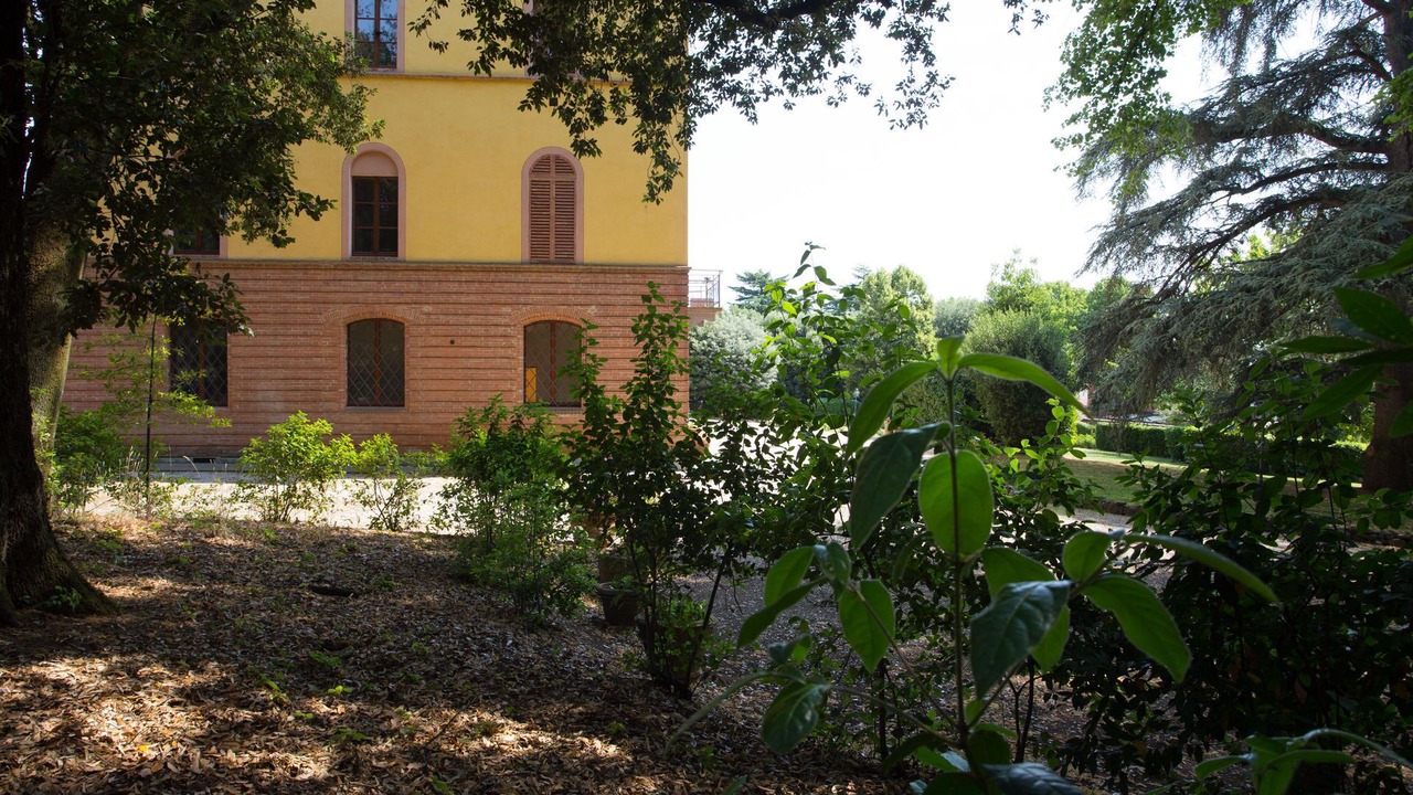 Photo of Others in Torrita di Siena