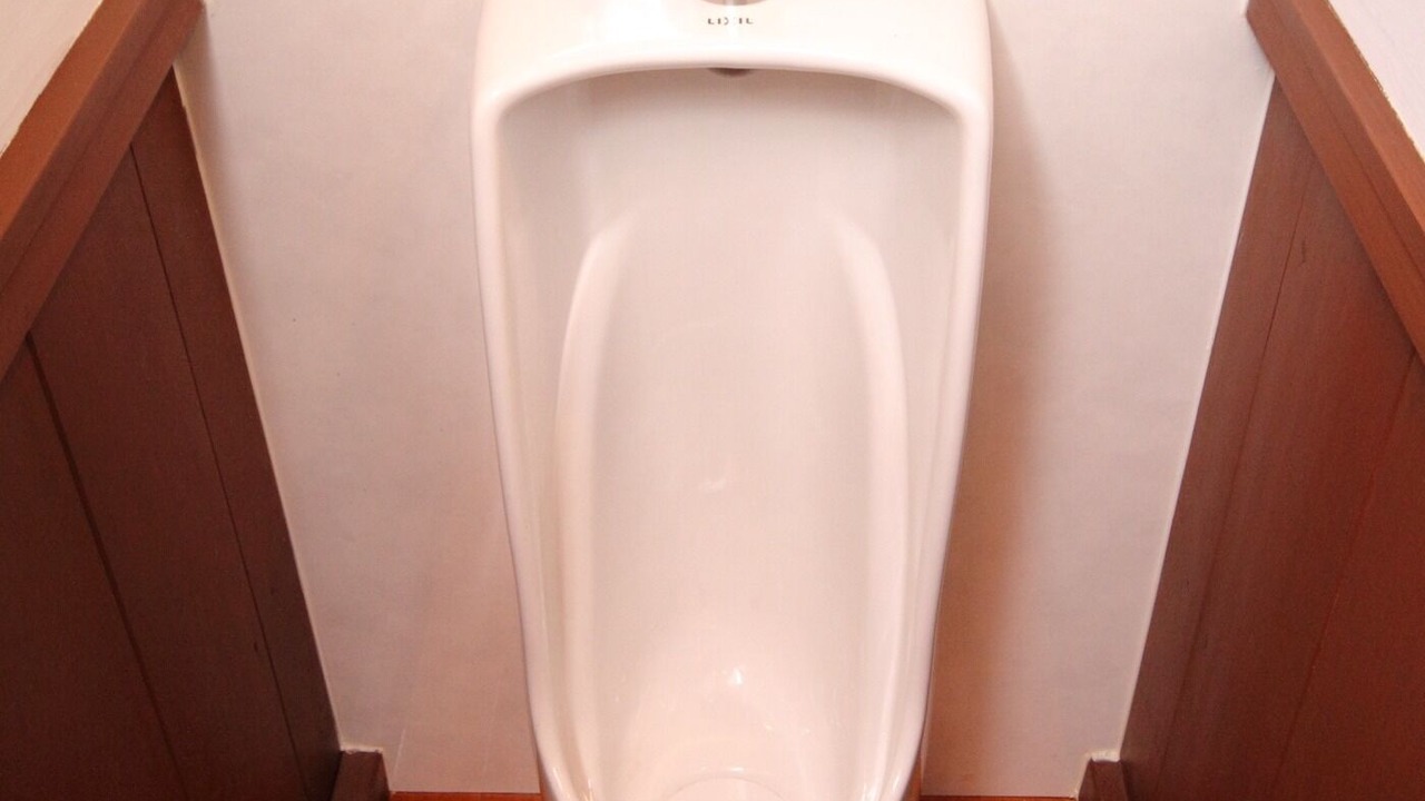 Photo of Bathroom in Fujikawaguchiko