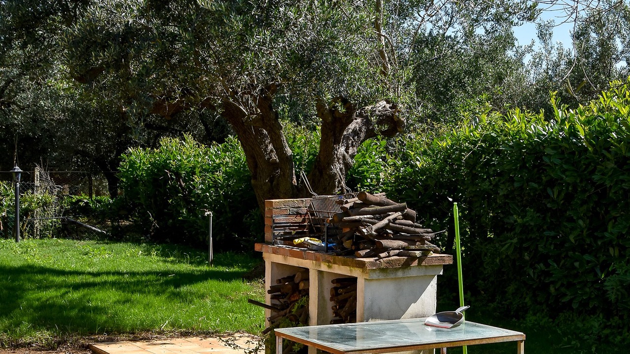 Photo of Outdoor in Albano Laziale