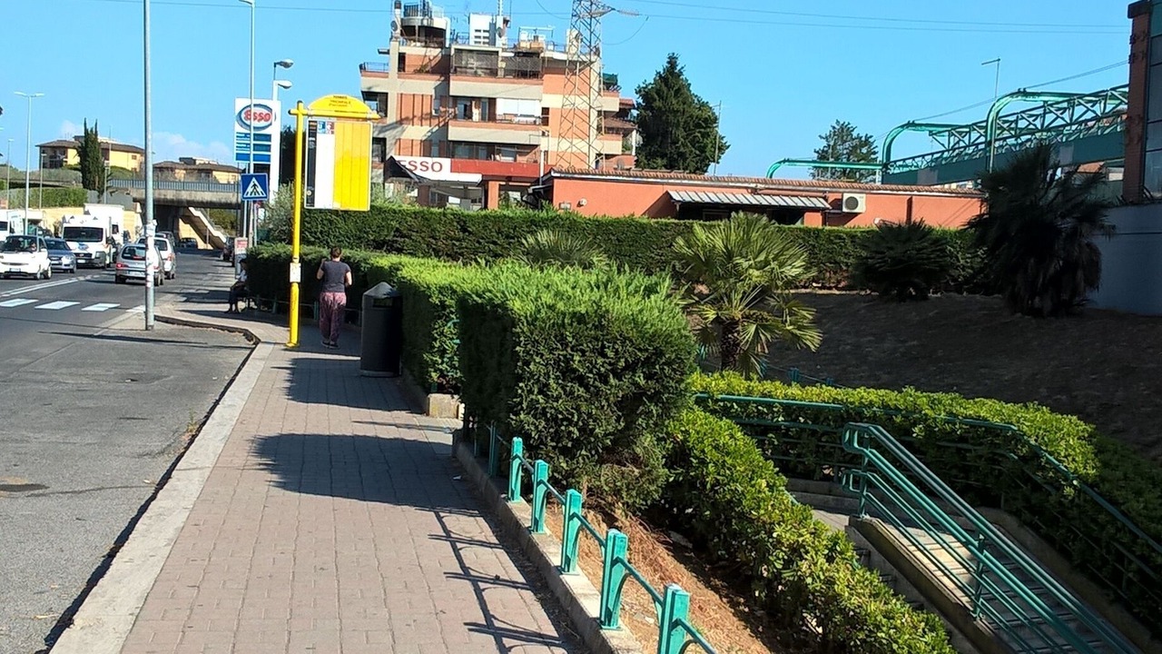 Photo of Others in Zona LIII Tomba di Nerone