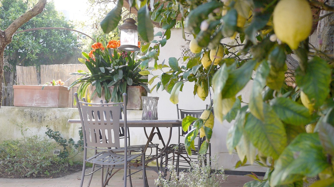 Photo of Outdoor in Celsa Village