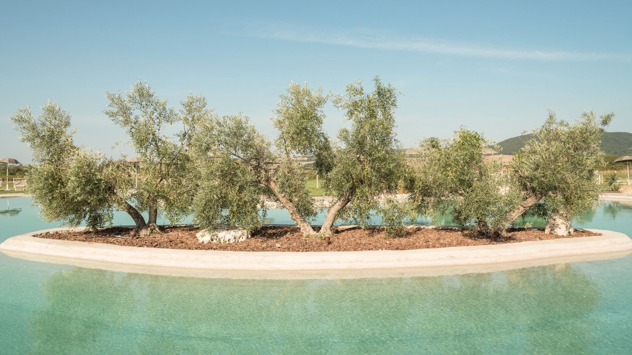Photo of Outdoor in Canino