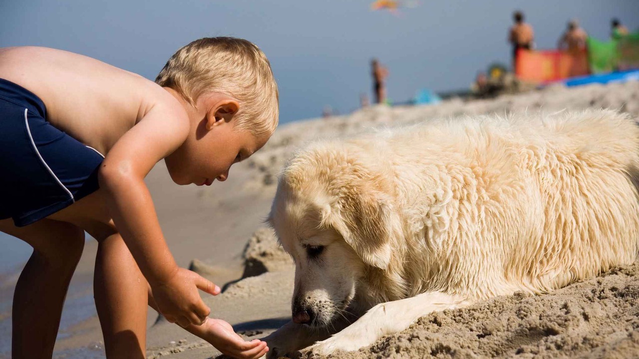 Photo of Others in Bibione Lido dei Pini
