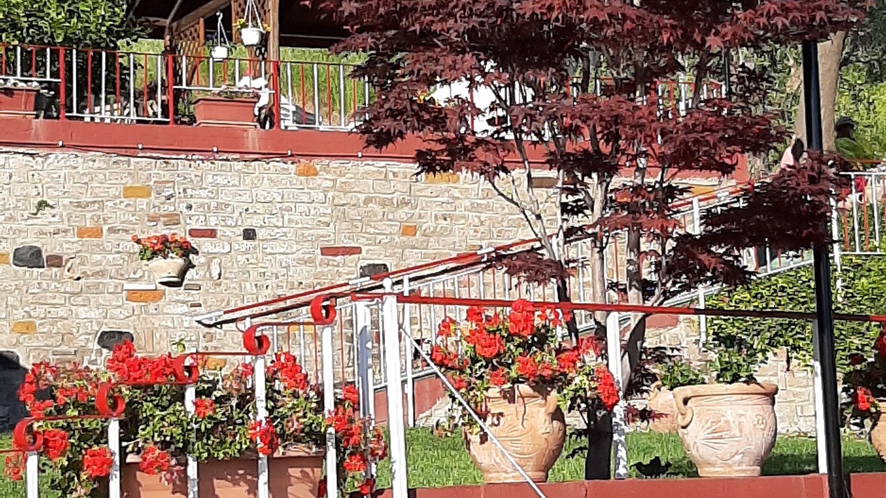 Photo of Outdoor in Lake Bracciano