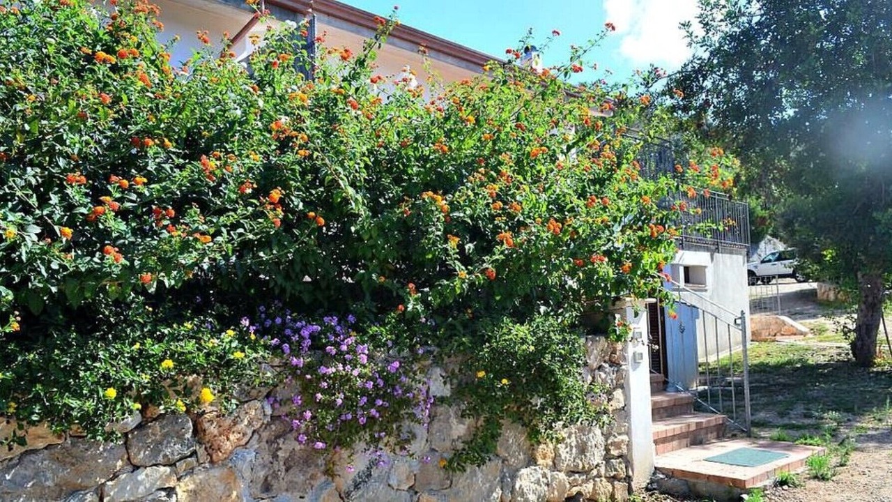 Photo of Outdoor in Itri