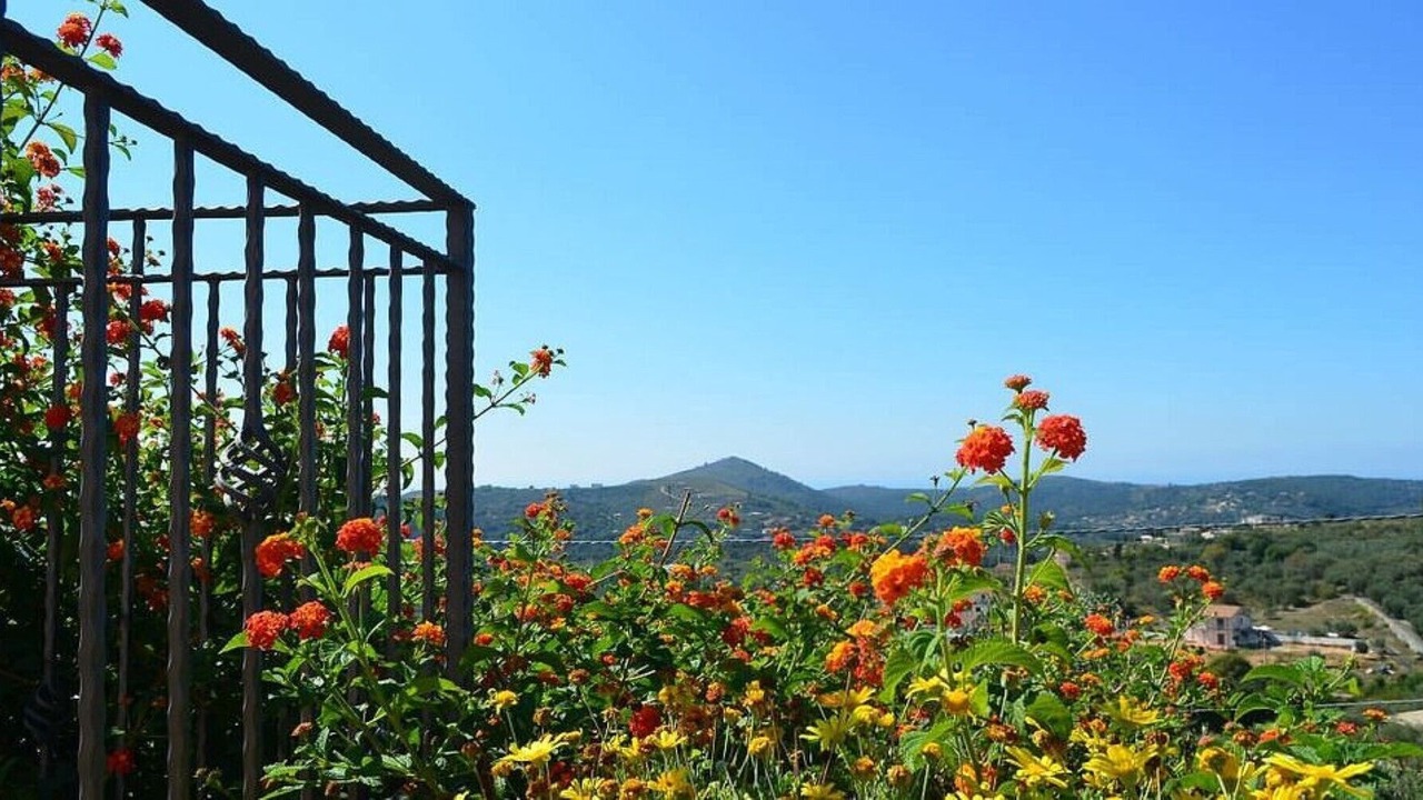 Photo of Outdoor in Itri