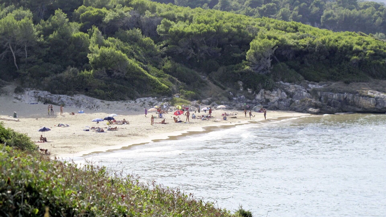 Photo of Others in Montincello