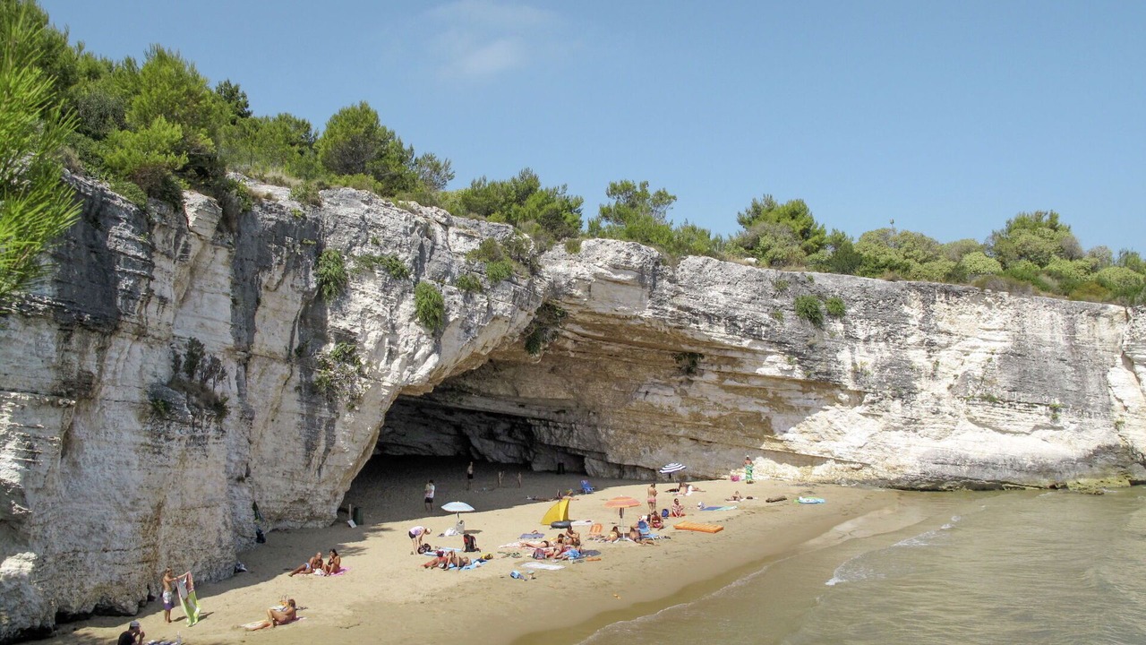 Photo of Others in Montincello