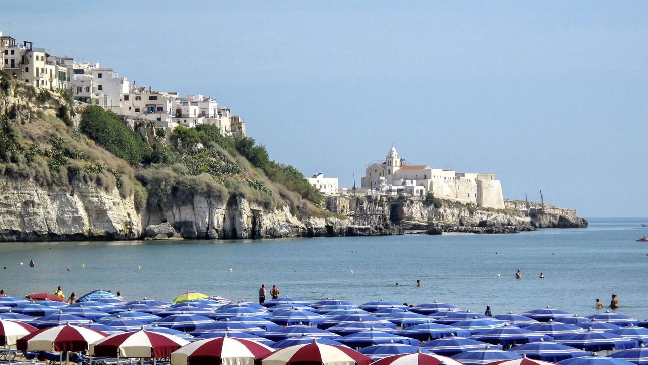 Photo of Others in Montincello