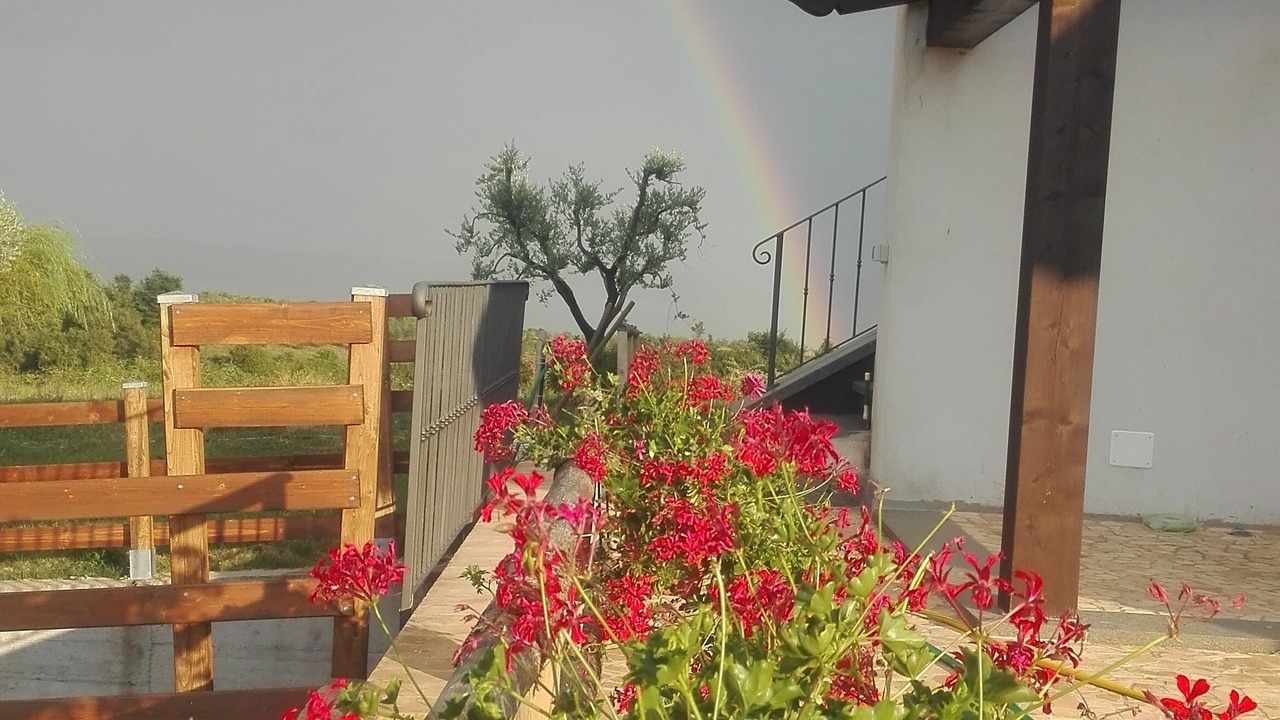 Photo of Outdoor in Grotte di Castro