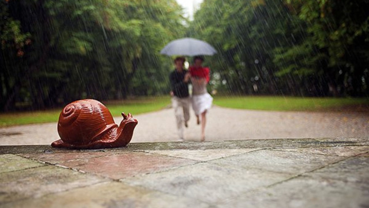 Photo of Outdoor in Levada