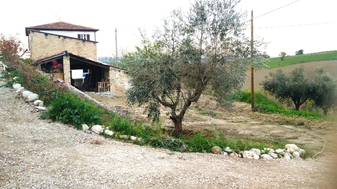 Photo of Outdoor in Notaresco