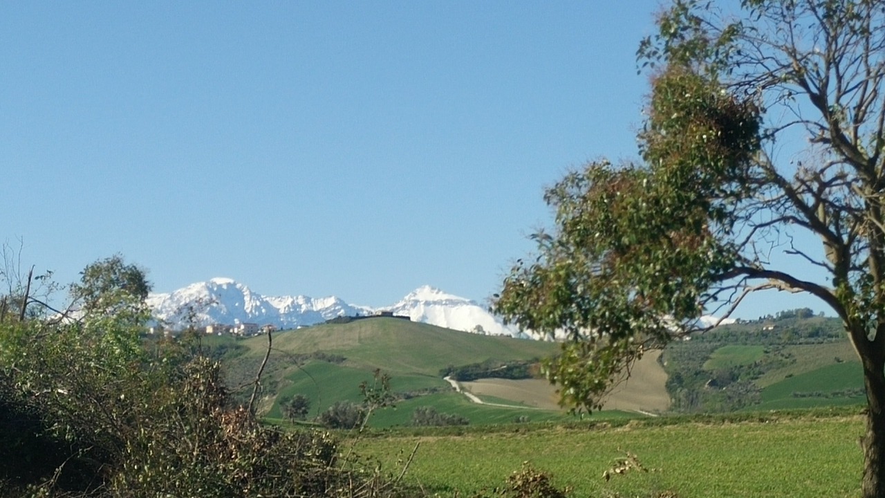 Photo of Others in Notaresco