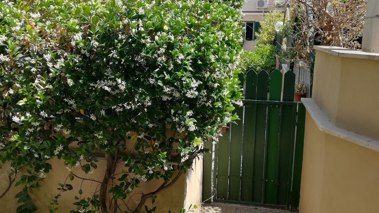 Photo of Outdoor in Borgo Hermada
