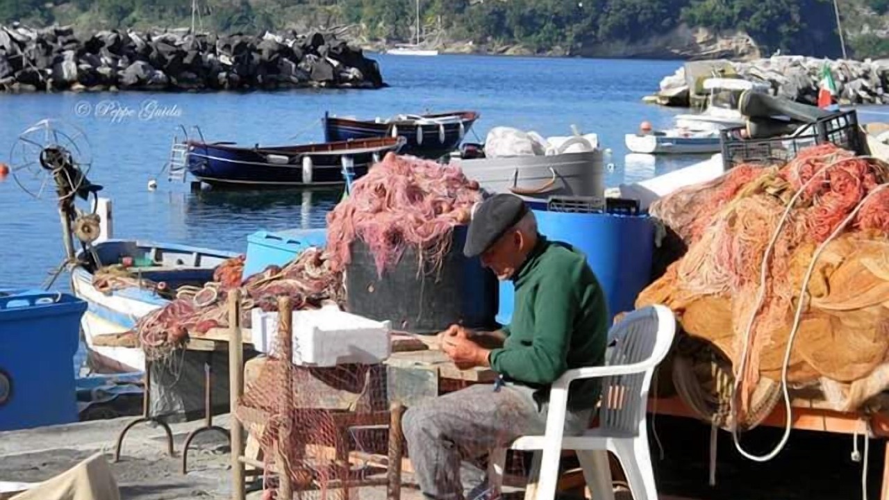 Photo of Others in Fiaiano