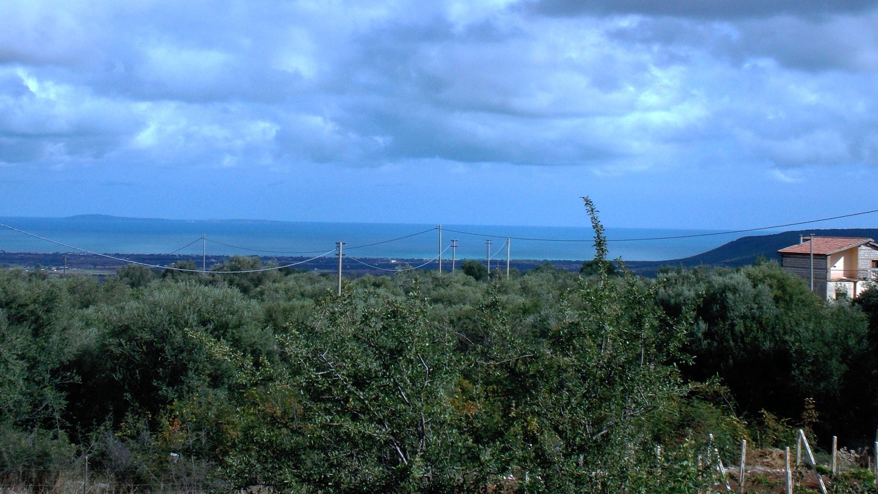 Photo of Others in San Nicandro Garganico