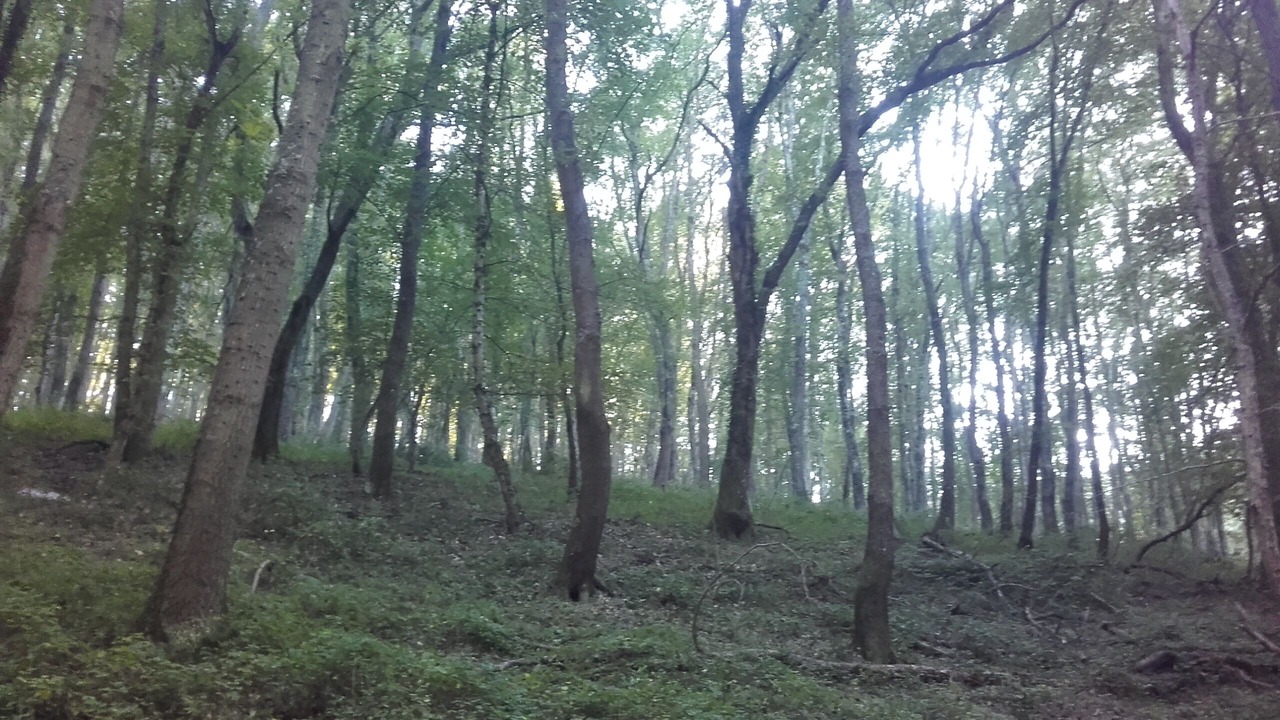 Photo of Outdoor in San Nicandro Garganico