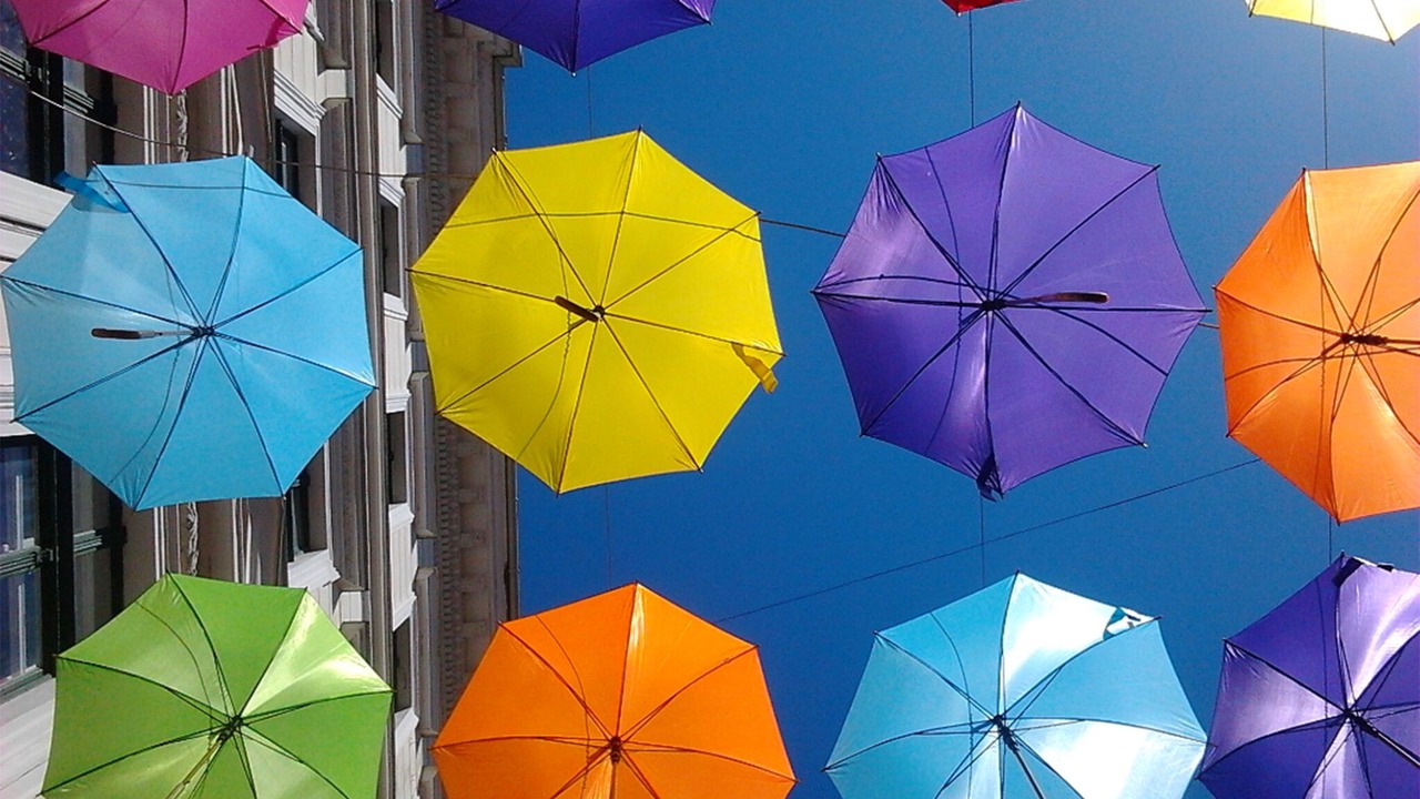 Photo of Outdoor in Timisoara