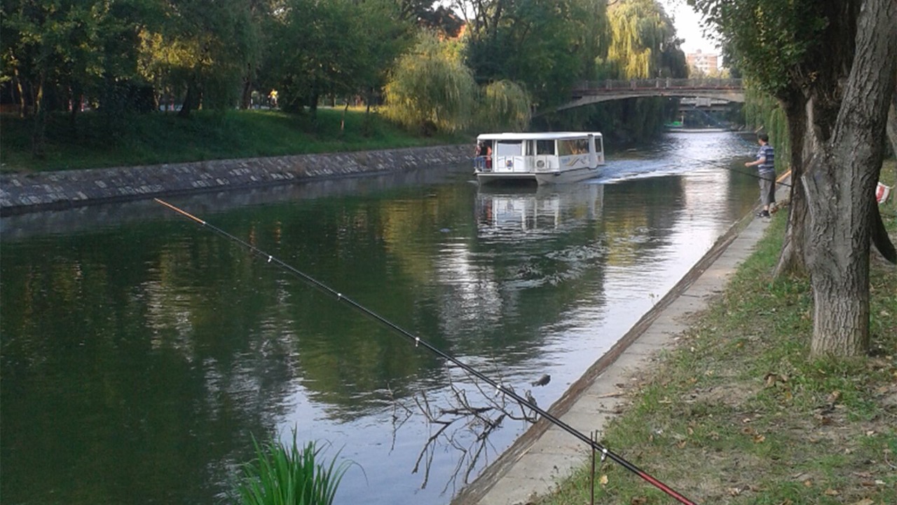 Photo of Outdoor in Timisoara