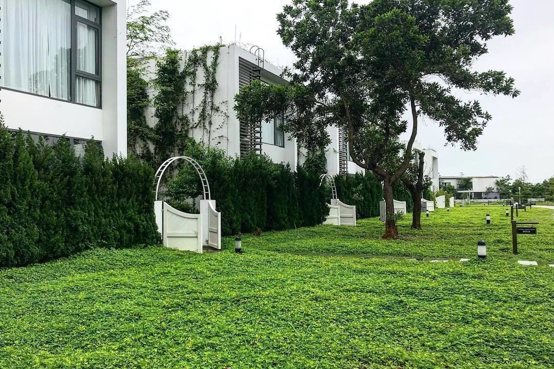 Photo of Outdoor in Ngoc Quang