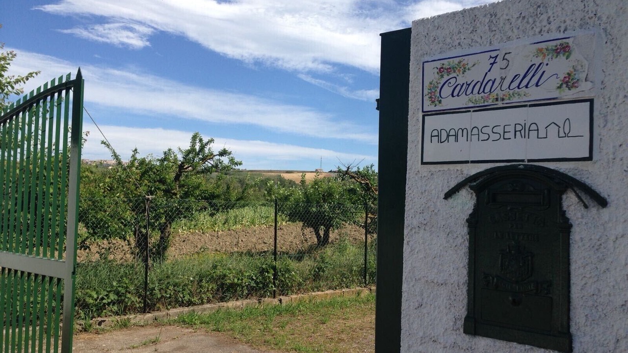 Photo of Outdoor in Collecorvino
