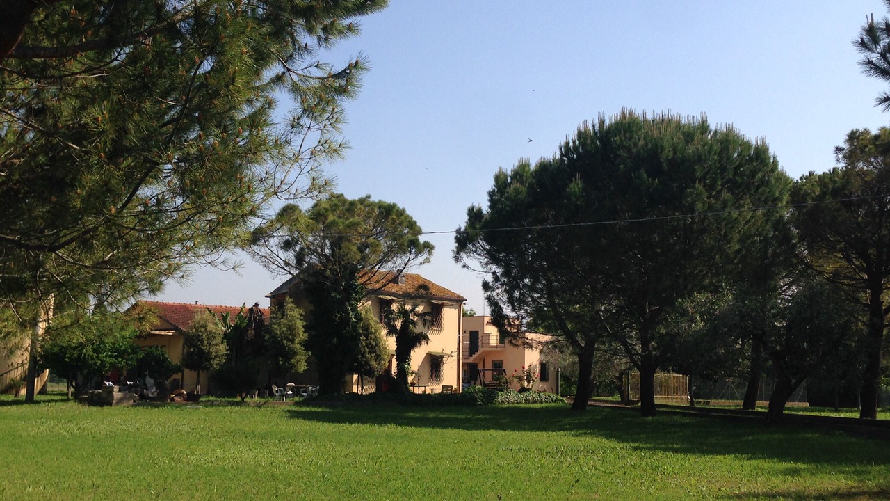 Photo of Outdoor in Collecorvino